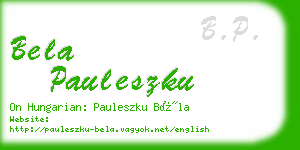 bela pauleszku business card